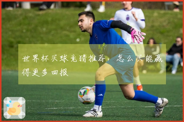 世界杯买球竞猜推荐，怎么买能赢得更多回报