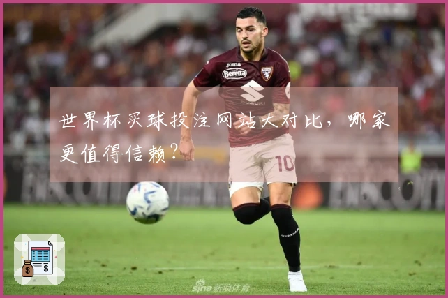 世界杯买球投注网站大对比，哪家更值得信赖？