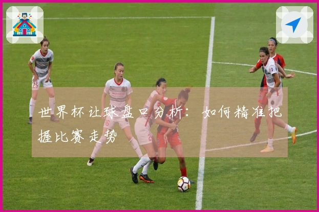 世界杯让球盘口分析：如何精准把握比赛走势