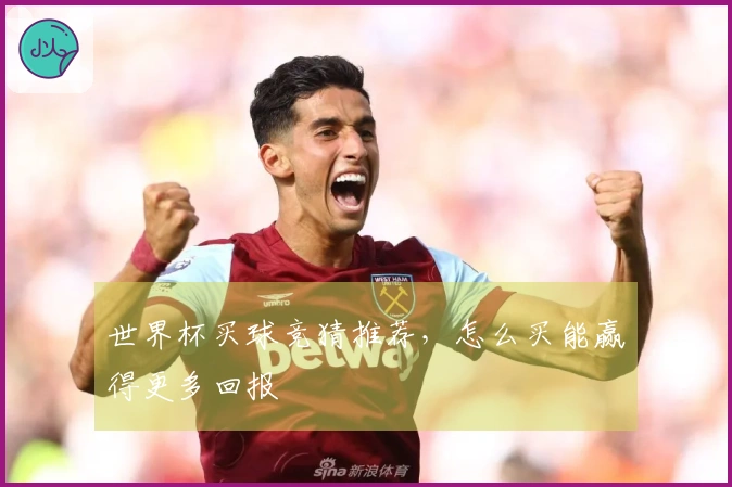 世界杯买球竞猜推荐，怎么买能赢得更多回报