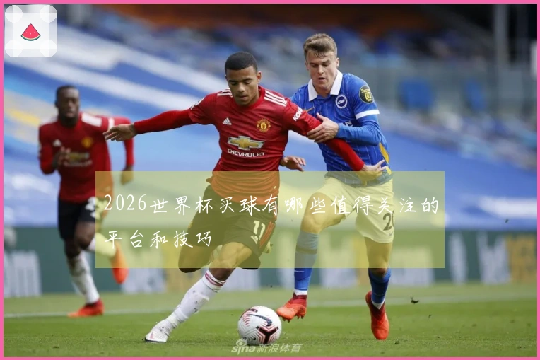 2026世界杯买球有哪些值得关注的平台和技巧