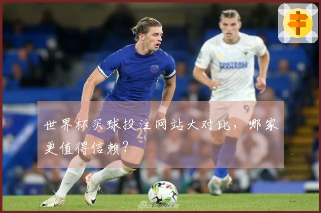 世界杯买球投注网站大对比，哪家更值得信赖？